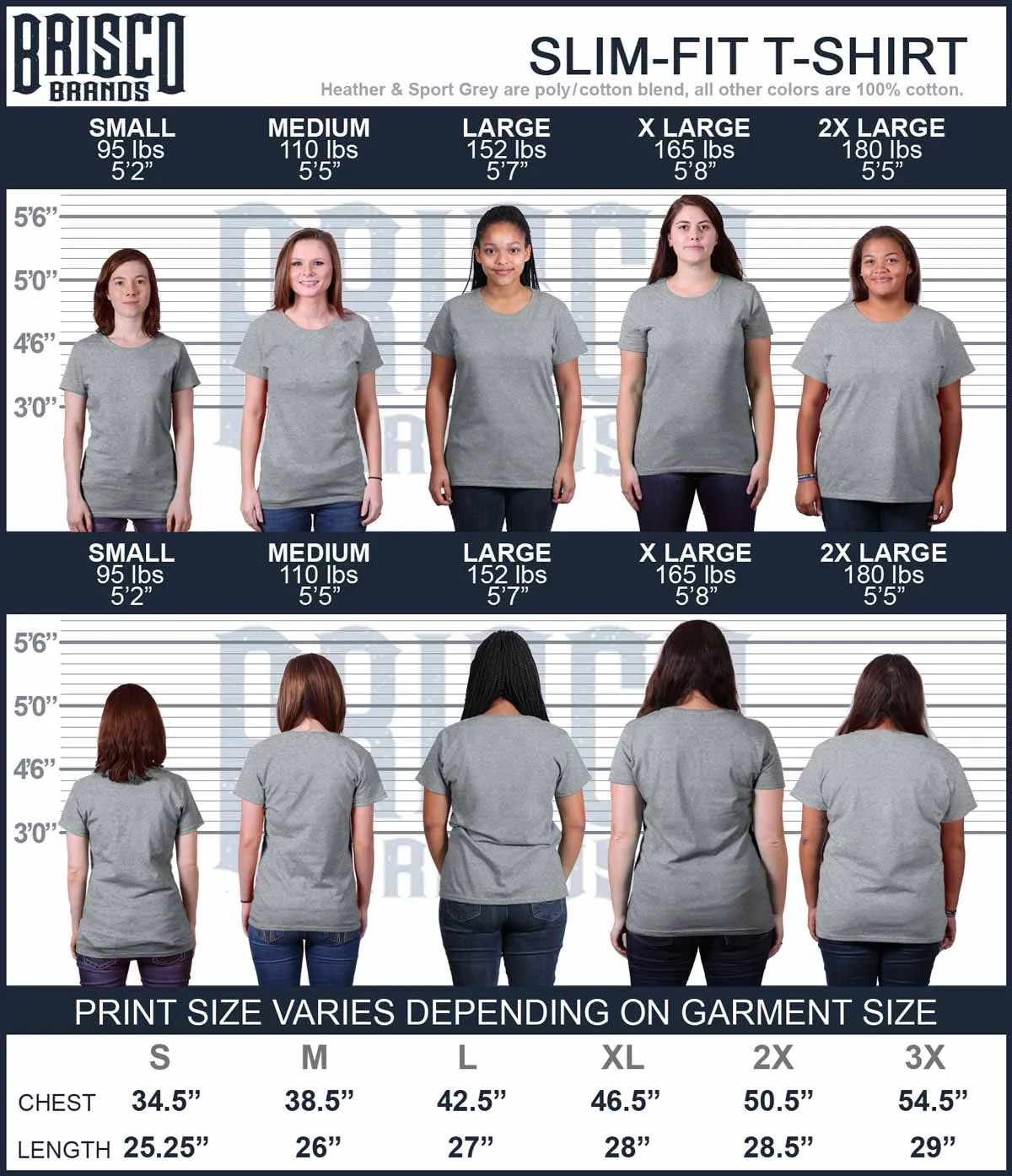 Golf Bag Ladies T-Shirt