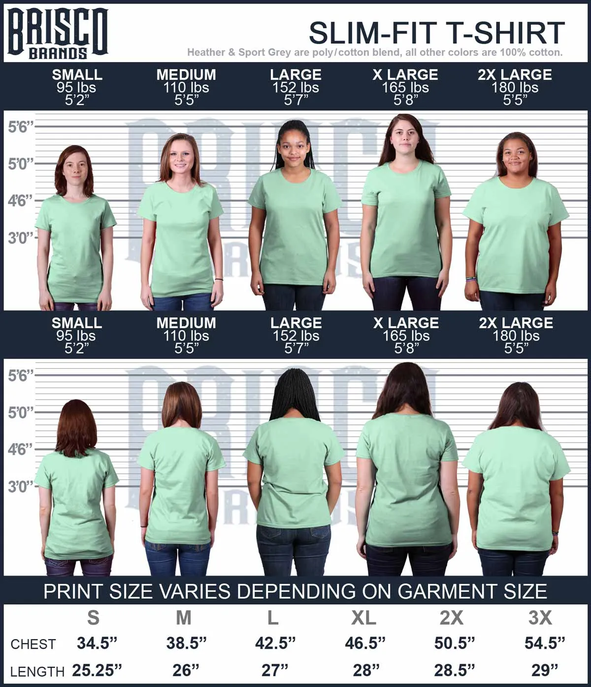 Golf Bag Ladies T-Shirt
