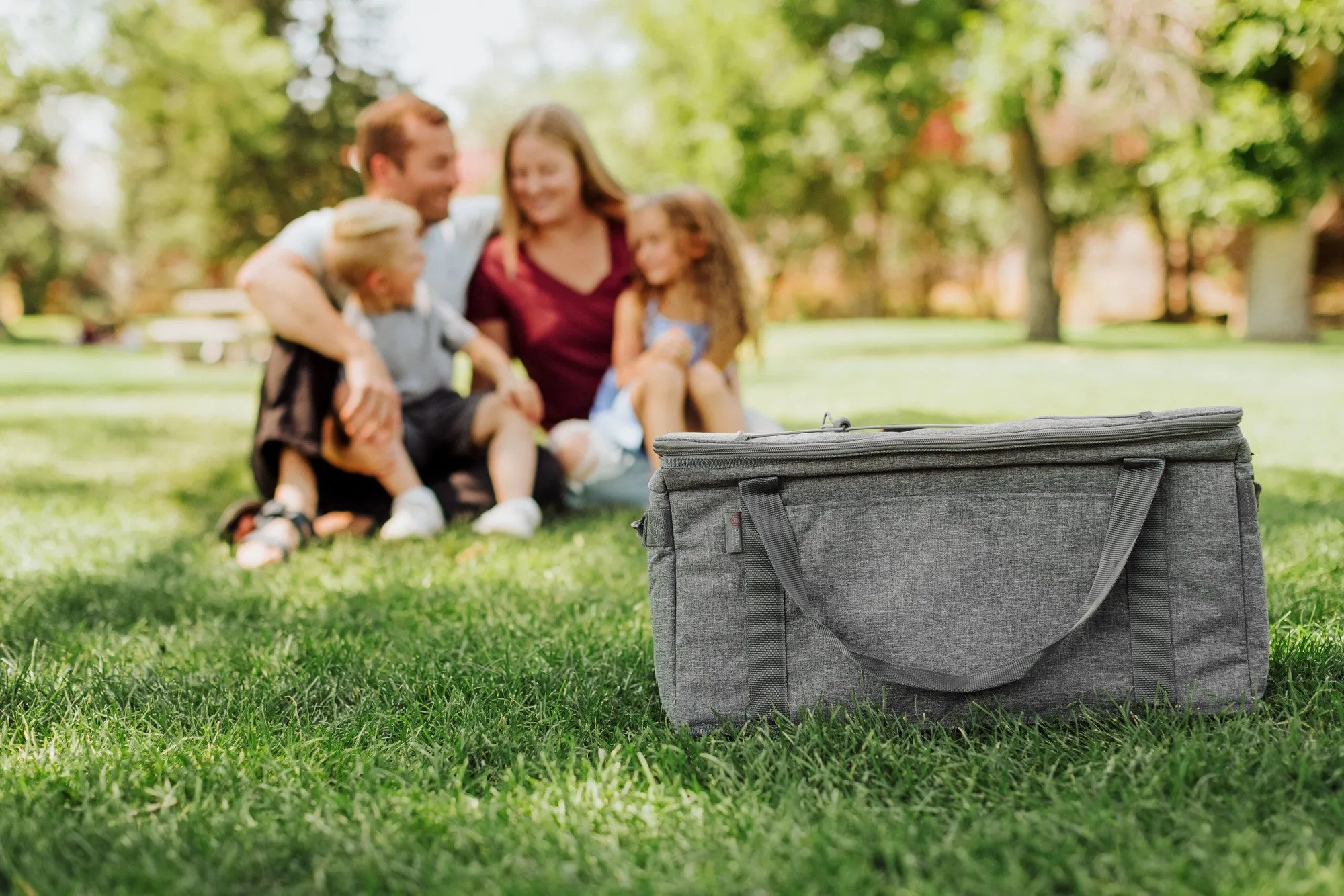 Kentucky Wildcats - 64 Can Collapsible Cooler