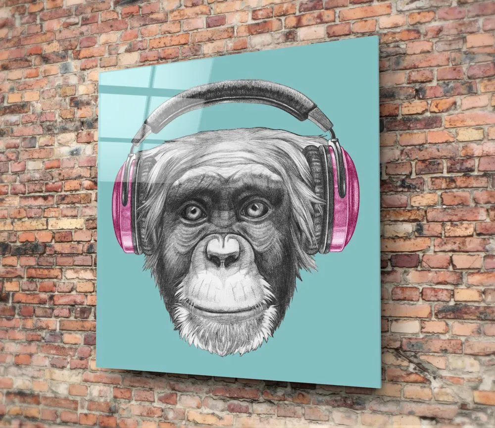 Monkey with Headphone